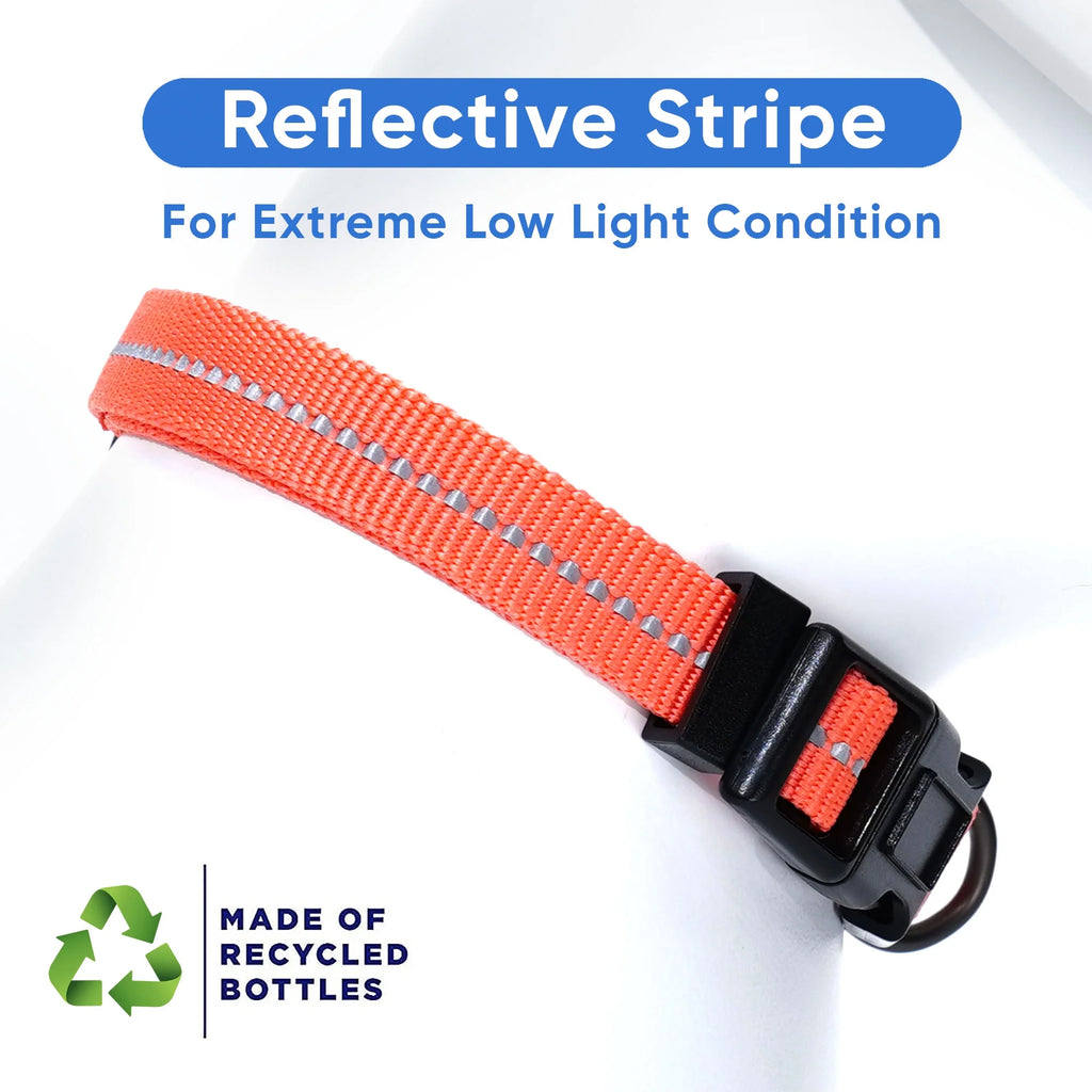 Eco-Friendly Reflective Coral Dog Collar for Small Puppies